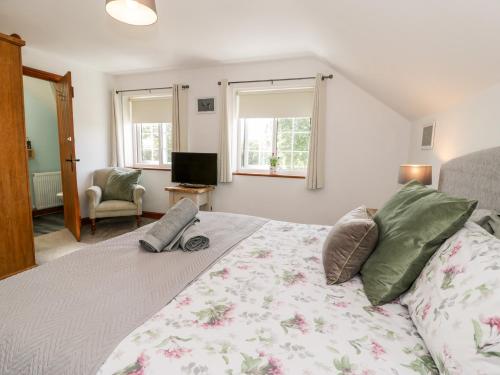 a bedroom with a bed and a tv and windows at Preswylfa in Conwy