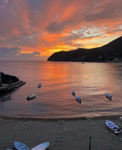 a sunset over a body of water with boats in it at La Terrazza sul Mare in Levanto