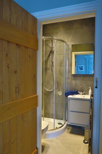a bathroom with a shower and a toilet and a sink at Horse Market Cottage Kirkby Lonsdale in Kirkby Lonsdale