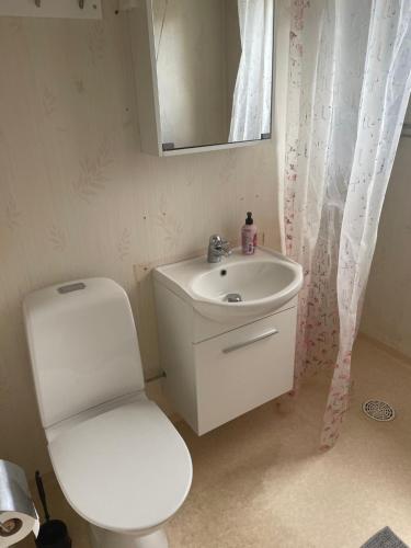 ein Badezimmer mit einem WC, einem Waschbecken und einem Spiegel in der Unterkunft Villa Lillhärdal in Lillhärdal