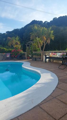 a swimming pool in a patio with palm trees and a bench at The Poplars Guest House in Combe Martin
