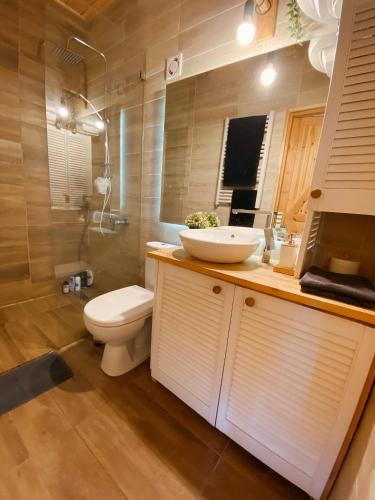 a bathroom with a toilet and a sink and a shower at Chata z Kraja in Pewel Wielka