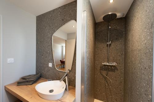 Vonios kambarys apgyvendinimo įstaigoje L'Aubrac, T2 classé meublé de tourisme