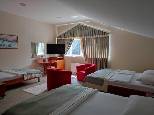 リヴノにあるHotel Bacchusのベッド2台とテレビが備わるホテルルームです。