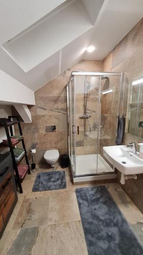 ein Bad mit einer Dusche, einem WC und einem Waschbecken in der Unterkunft Apartmán 17, Vysoké Tatry, Dolný Smokovec in Dolný Smokovec