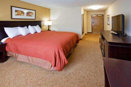 a hotel room with a red bed and a flat screen tv at Country Inn & Suites by Radisson, Rome, GA in Rome