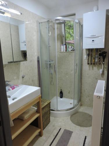 bagno con doccia e lavandino di Szepezd OAK villa a Balatonszepezd
