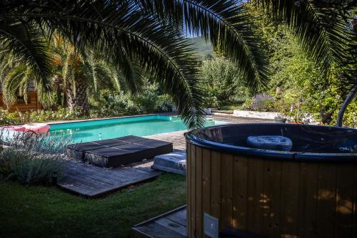 einen Whirlpool neben einem Pool mit einer Palme in der Unterkunft Maison Irriberria in Hasparren