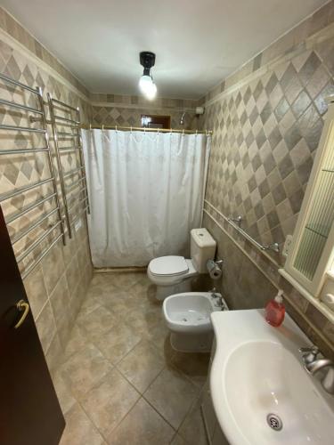 La salle de bains est pourvue de toilettes, d'un lavabo et d'une douche. dans l'établissement Mansion Verde, à El Calafate