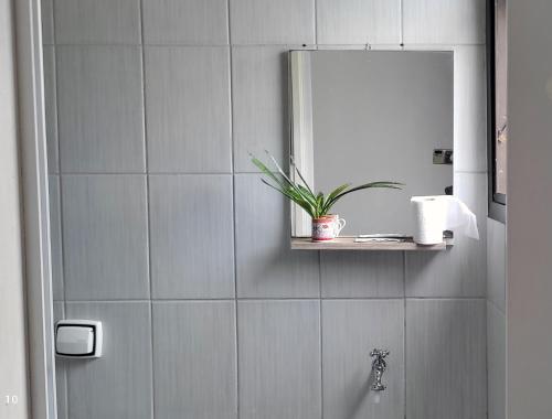 a bathroom with a mirror and a plant on a shelf at Studio Canto Forte - Praia Grande in Praia Grande