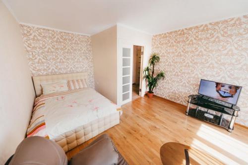 ヴィーンヌィツャにあるVIP-flat in the center of Vishenkaのベッドルーム(ベッド1台、薄型テレビ付)