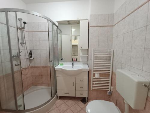 y baño con lavabo, ducha y aseo. en Apartment Riba, en Ankaran