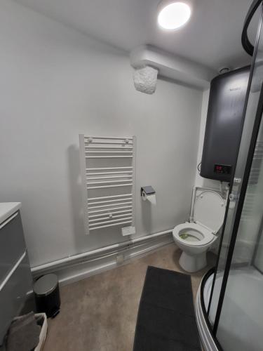 La salle de bains est pourvue de toilettes et d'une télévision murale. dans l'établissement Superbe appartement T2 centre historique, à La Souterraine