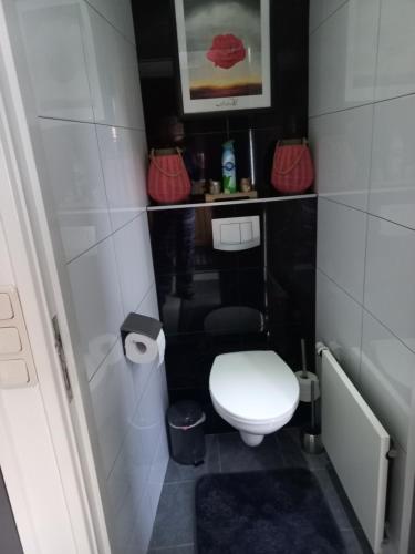 De Wilp的住宿－Appartement Ons Plekje，一间小型浴室,配有白色的卫生间和红色的袋子