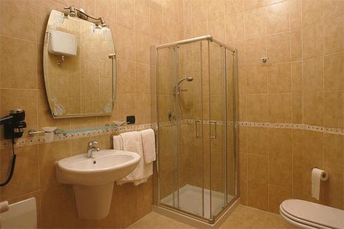 W łazience znajduje się prysznic, umywalka i toaleta. w obiekcie Hotel Amadeus w mieście Caserta