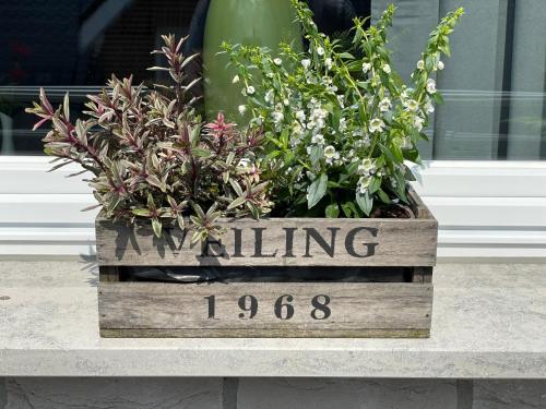 a wooden crate filled with flowers on a table at Studio - Apartment Steinmetz mit Balkon in Reken