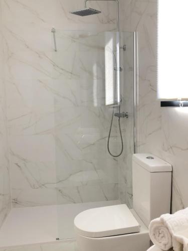a white bathroom with a shower and a toilet at Cabañas Compostela - Cabaña Sarela in Santiago de Compostela