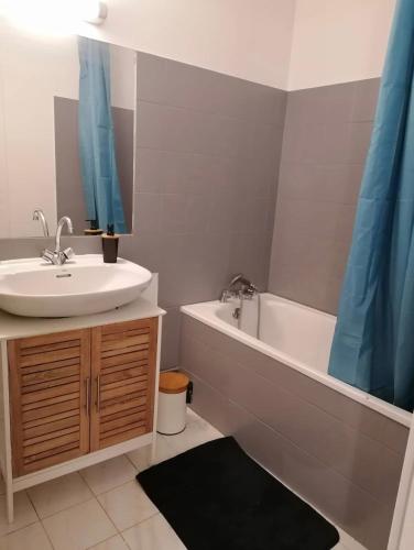 une salle de bain avec un lavabo et une baignoire et un lavabo dans l'établissement Hyper centre - Proche airbus - Tout confort - Magnifique terrasse, à Tournefeuille