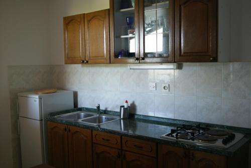 Kuchyň nebo kuchyňský kout v ubytování Apartments by the sea Zavala, Hvar - 553