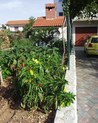 Apartments for families with children Grebastica, Sibenik - 477にある庭