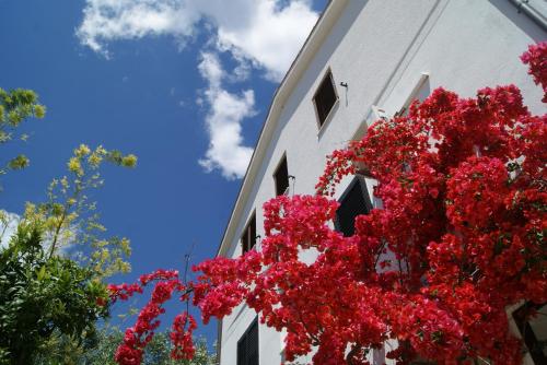 Apartment Zavala 553d – Photos 2