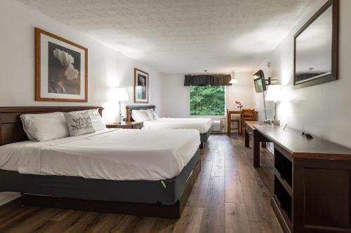 Habitación de hotel con 2 camas y escritorio en Halesford Harbour Resort - Smith Mountain Lake en Moneta