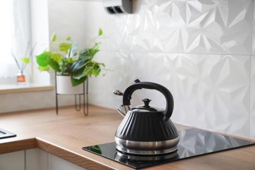 a tea kettle is sitting on a kitchen counter at Toruńskie Zacisze 5 in Toruń