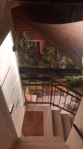 an overhead view of a staircase in a building with plants at Plan B in Imperia