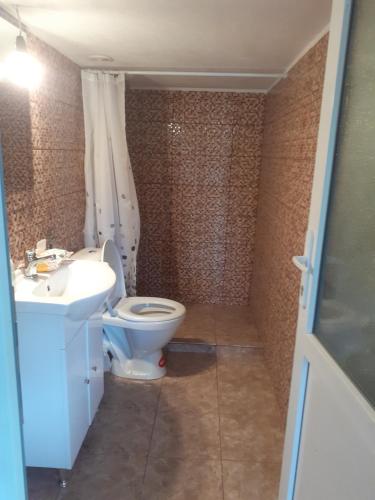 a bathroom with a toilet and a sink at Pescărie La Nelu in Ohaba-Sibişel