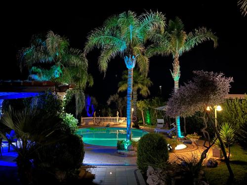 モーディカにあるModica Blu Oceanoの夜のヤシの木と灯りのプール