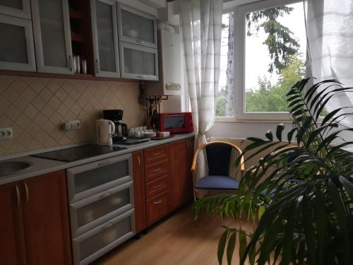 ポイアナ・ブラショフにあるApartament Ana Poiana Brasovのキッチン(テーブル、椅子付)、窓が備わります。