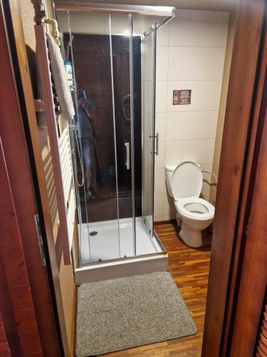 a bathroom with a toilet and a glass shower stall at Houseboat Slnečné jazerá, apartmán 1 in Senec