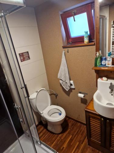 een badkamer met een toilet en een wastafel bij Bora Bora na Slnecnych jazerach (Apartman 1) in Senec