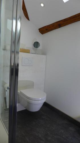 a bathroom with a white toilet in a room at Les Versaillaises in Versailles