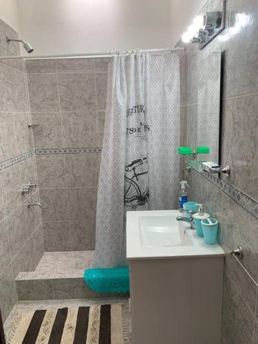 a bathroom with a shower and a sink and a toilet at Casa Hotel Cactus 15 minutos desde Ezeiza. in Monte Grande