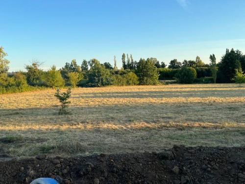un champ avec un arbre au milieu dans l'établissement Maison familiale contemporaine à Bergerac, à Bergerac