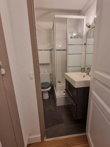 een badkamer met een toilet, een wastafel en een spiegel bij Studio Place Massena in Nice