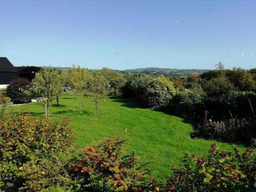 a field of grass with trees and bushes at Country Home with Gardens in Newtown