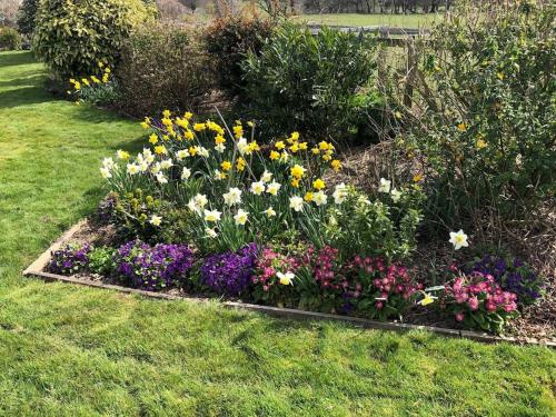 a garden filled with flowers in a yard at Country Home with Gardens in Newtown