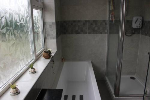 een badkamer met een douche, een wastafel en een bad bij Country Home with Gardens in Newtown