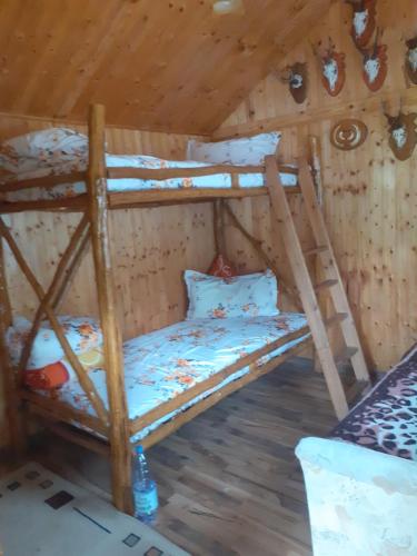 a bedroom with two bunk beds in a cabin at Pescărie La Nelu 