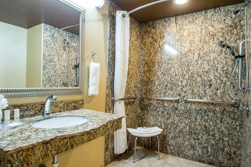 a bathroom with a sink and a shower at Clarion Inn Elmhurst - Oak Brook near I-88, I-290, I-294 in Elmhurst