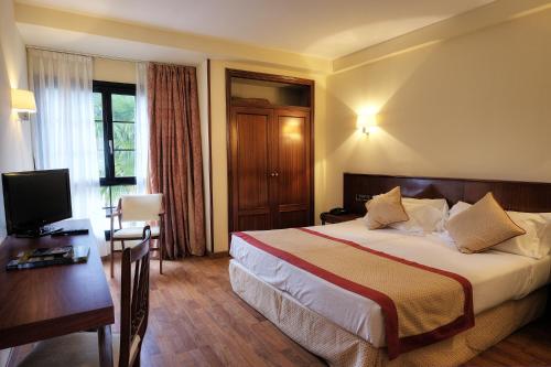 a hotel room with a bed and a desk and a television at Hotel y Apartamentos Arias in Navia