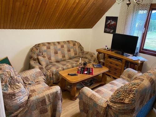 a living room with two couches and a television at Apartmani Laušević in Žabljak