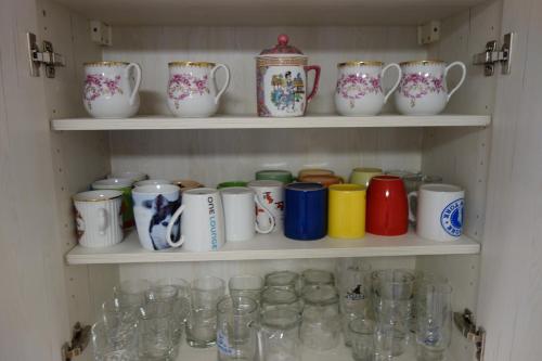 a shelf full of glass cups and vases at Pod Chlumem - útulný byt v blízkosti centra in Děčín