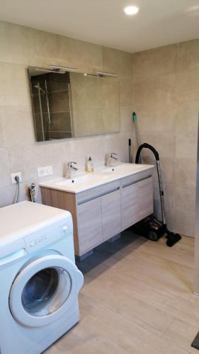 une salle de bain avec une machine à laver et un lavabo dans l'établissement Gîte Bartsch, à Ungersheim