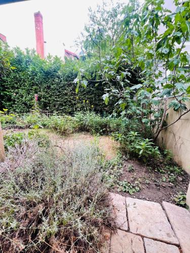 Le Jardin croix Roussien photo 11