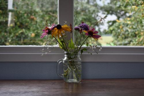 a vase filled with flowers sitting on a window sill at Pipowagen ''Slapen by Co'' in Leerdam