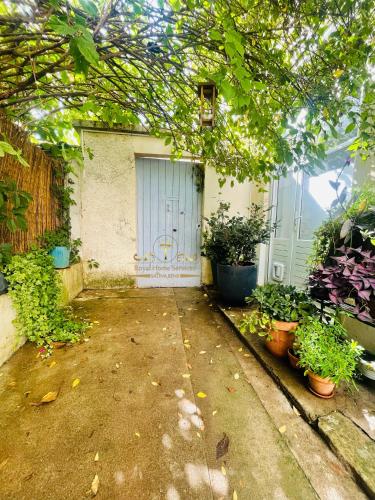 Le Jardin croix Roussien photo 29