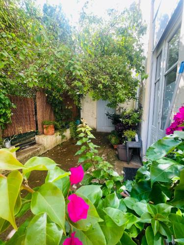 Le Jardin croix Roussien photo 30